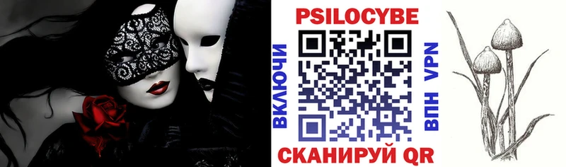 Купить  Лаишево  Галлюциногенные грибы Cubensis 